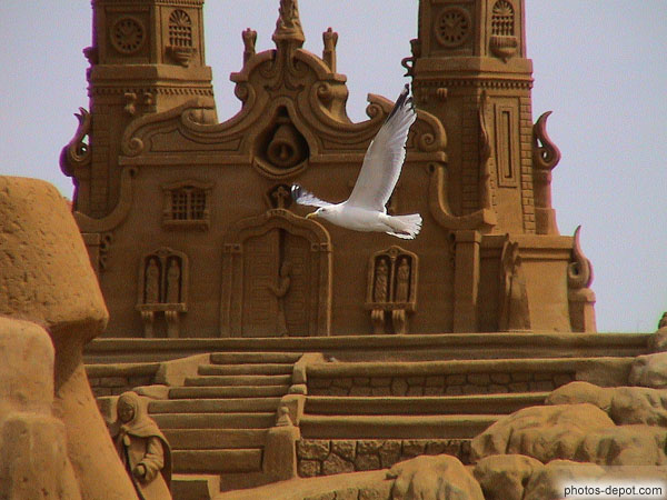 photo de vol de mouette devant l'église
