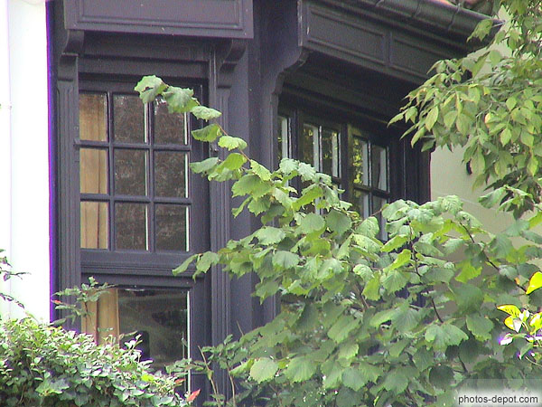 photo de fenêtres bois