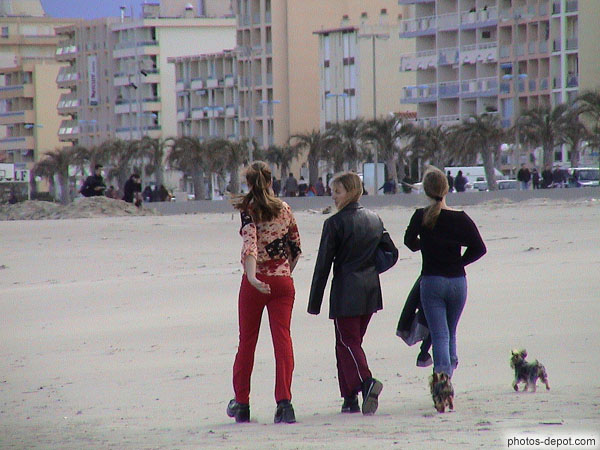 photo de 3 filles et leurs chiens sur la plage