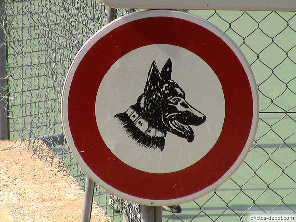 photo d'interdit aux chiens