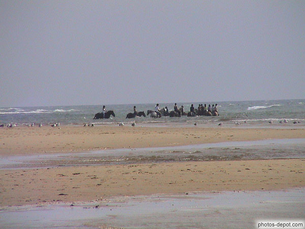 photo de cavaliers dans la mer