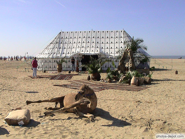 Chameau devant tente turque