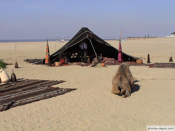 photo de tente et chameau