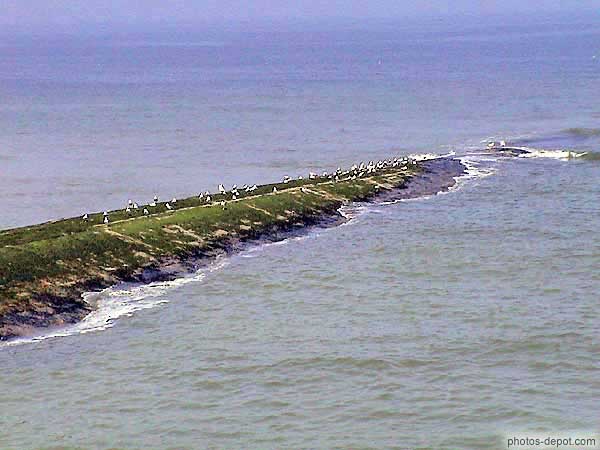 photo de marée montante