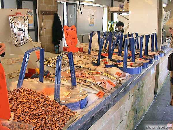 photo de marché aux poissons