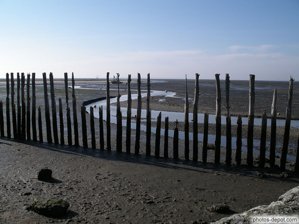photo de marée basse sur le bassin