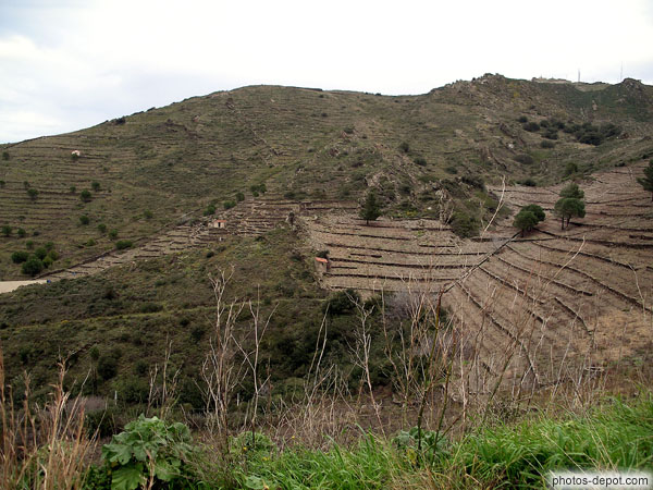 photo de colline et plantations en escalier