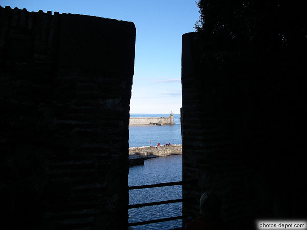 photo de port de Collioure vue du chateau