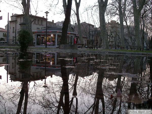 photo de reflets dans le bassin du parc