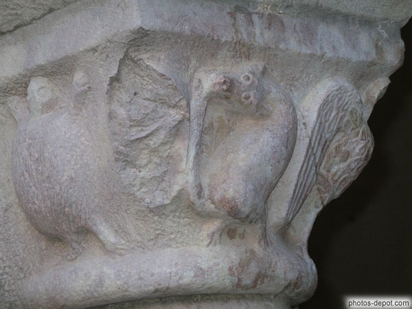 photo de rât sculpté sur chapiteau du Cloître