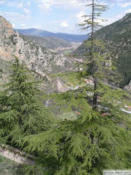 Sapin et vallée vue du  du fort Liberia France, Languedoc Roussillon, Villefranche de conflens, Photo 2006