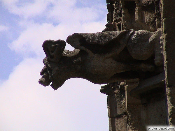 photo de gargouille chauve souris, cloître, cathédrale St Just