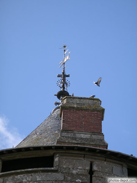 photo de pigeons sur le toit d'une tour du chateau