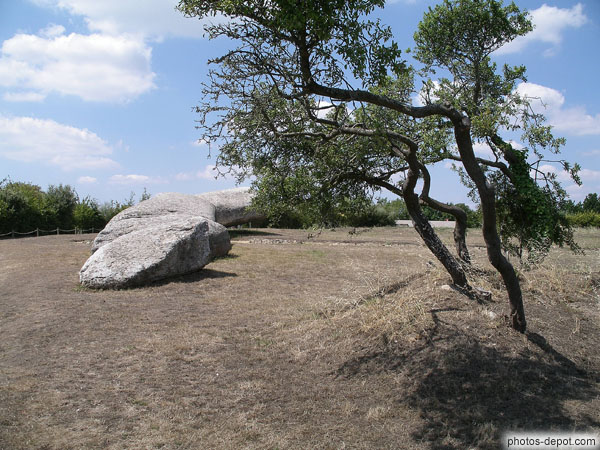 photo de grand menhir brisé, 18 autres pierres dressées et alignées le précèdaient sur 55m au nord.