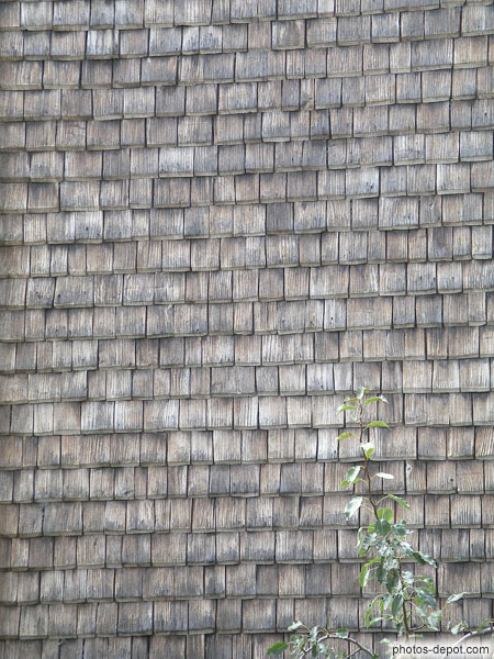 photo de mur recouvert de plaquettes de bois