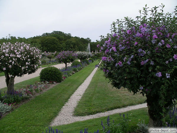 photo d'Allées du jardin de Diane de Poitiers