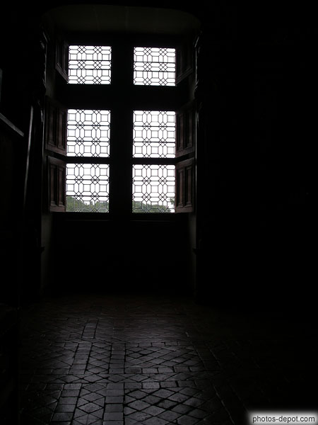 photo de Vestibule de Catherine Briçonnet : sol de carreaux de terre cuite timbrés d'une fleur de lys traversée par une dague