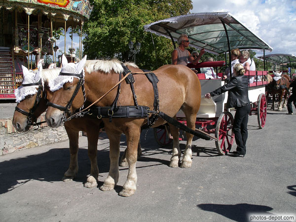 photo de promenade en chariot à cheval dans la ville médiévale