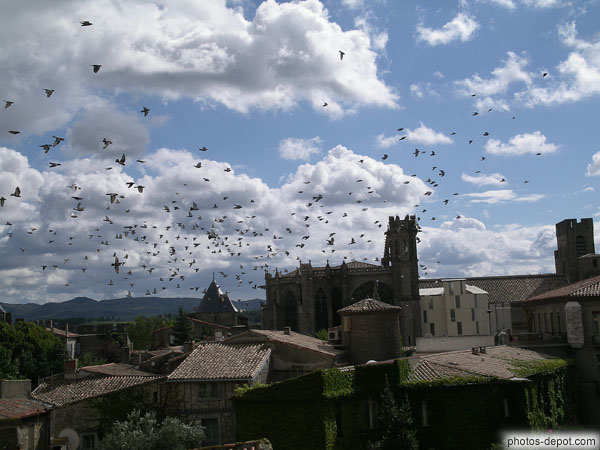photo de vol de pigeons devant la cathédrale St Nazaire et St Celse