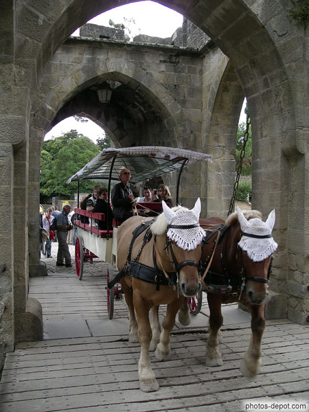 photo de visite du chateau en chariot à cheval