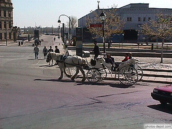 photo de ballade en calèche