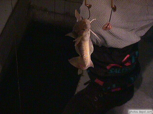 photo de pêche du poisson des cheneaux