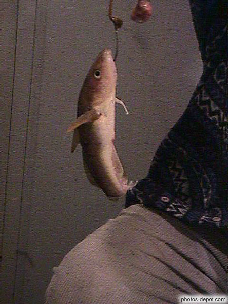 photo de poisson des cheneaux accroché à l'ameçon