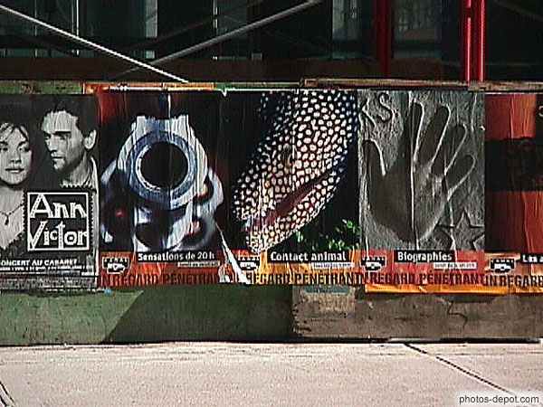 Affiche canon tête de serpent main