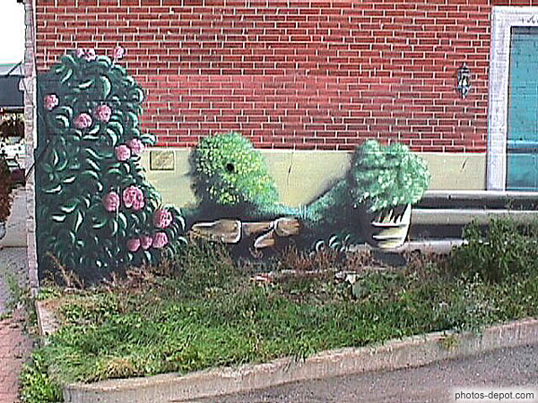 Plantes en trompe l'oeil Canada, Quebec, Photo 1998