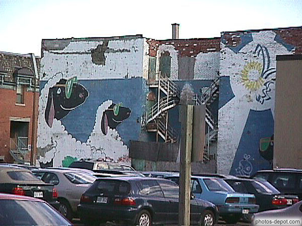 Moutons à lunettes Canada, Quebec, Photo 1998