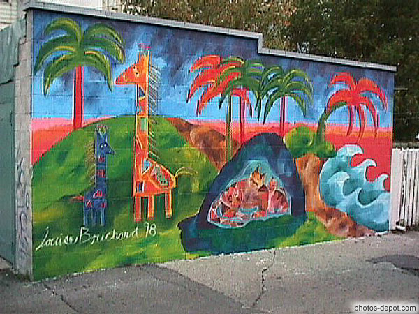 photo de girafes, chats et palmiers