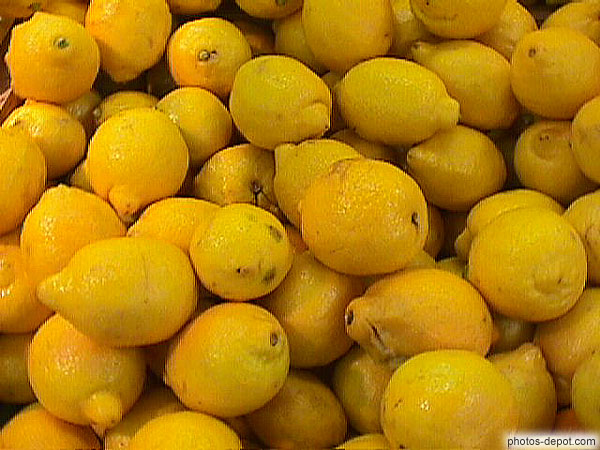photo de citrons