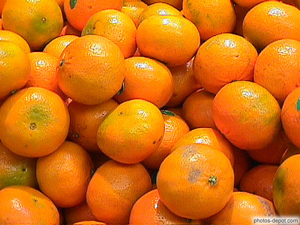 photo d'oranges