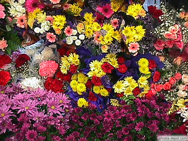 Bouquets de fleurs multicolores Canada, Quebec, Photo 1998