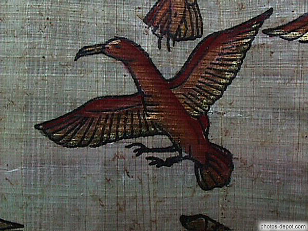 photo de détail papyrus egyptien