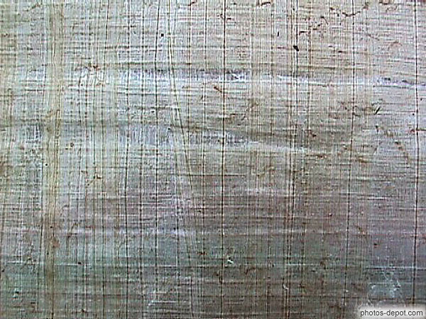 photo de détail fibre papyrus egyptien