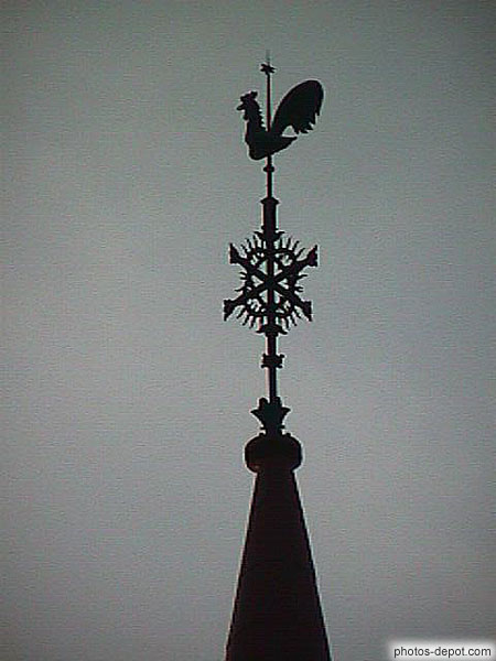 Rose des vents et coq