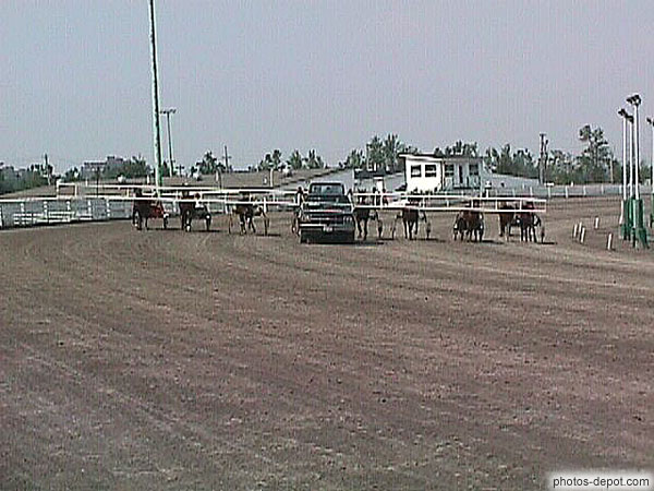 photo de départ entrainement des chevaux