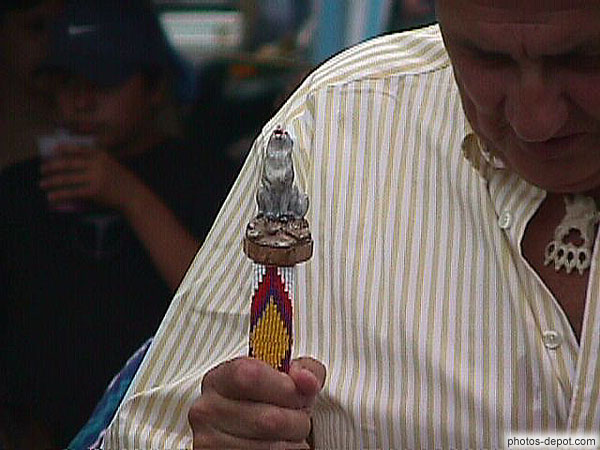 photo de Crosse de baton ouvragé en forme de Loup