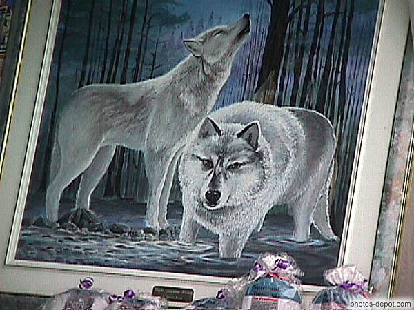 photo de tableau de loups blancs