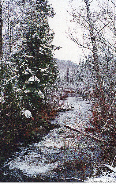 photo de sapin et rivière gelée