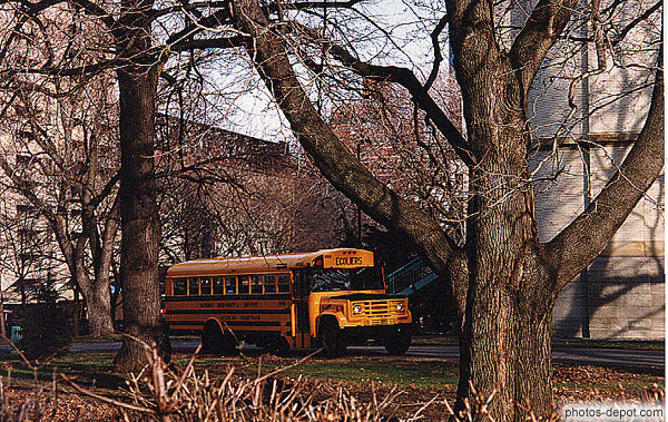 photo de Bus d'écoliers