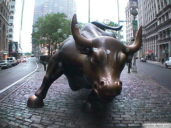 photo de le fameux charging bull, New York's Financial District
