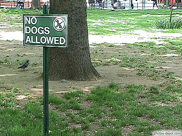photo de No dogs allowed, Greenwitch village