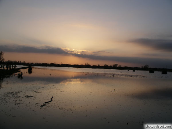 photo de coucher de soleil sur les marais