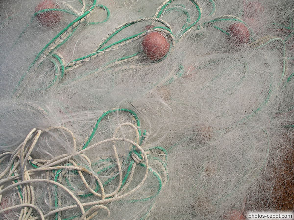 photo de minces filets de pêche