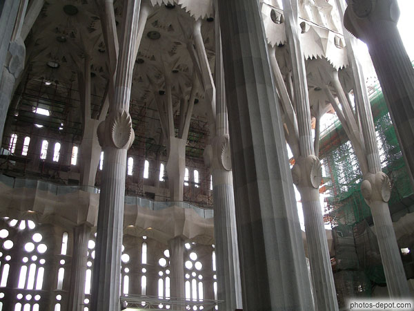 photo de colonnes soutenant la voute de la cathédrale de Gaudi