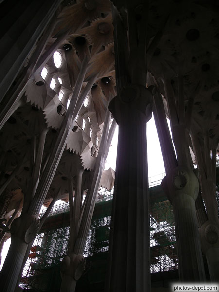 photo de voute sculptée de Gaudi