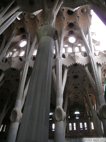 photo de colonnes et voutes surprenantes à l'intérieur de la cathédrale