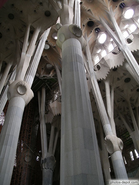 Impressionnantes colonnes soutenant la voute de la cathédrale de Gaudi